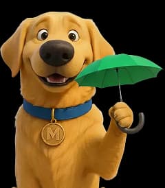 Are you currently insured?