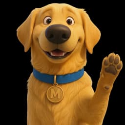 Max Thumbs Up