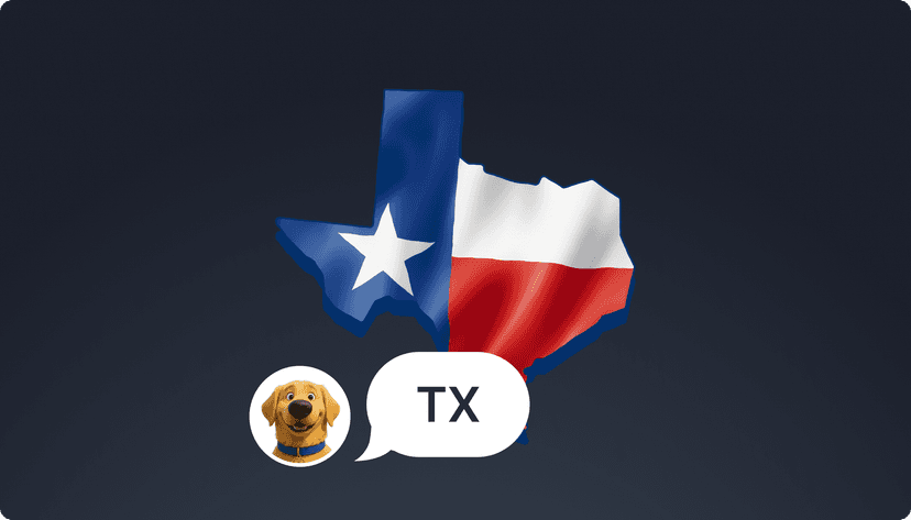 Texas Auto Insurance: Why One in Seven Drivers on Your Road Has No Coverage — and What That Costs You