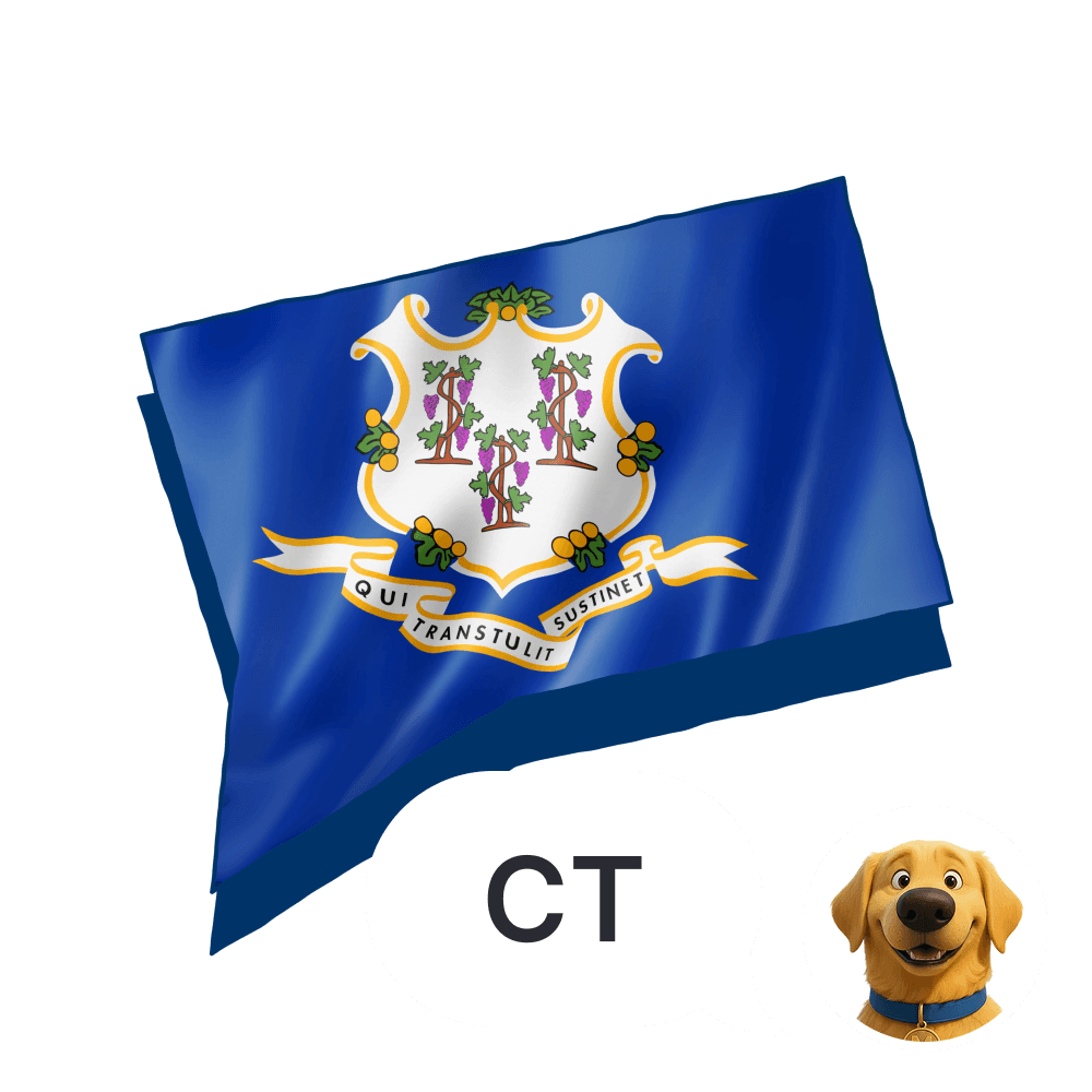 Connecticut Auto Insurance: How State Law, Coastal Risk, and Local Traffic Shape What You Actually Pay