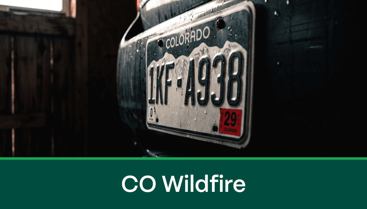 Auto insurance news