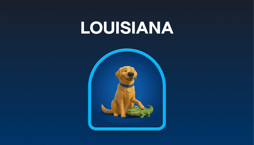 Louisiana Auto Insurance in 2026: Why Litigation, Hurricanes, and New Laws Are Finally Moving Your Rate