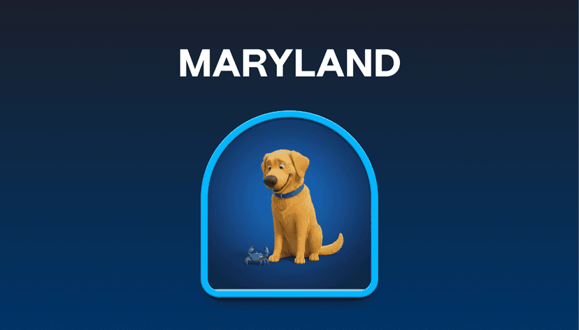 Maryland Auto Insurance Rates: How State Laws, Flooding, and 15% Uninsured Drivers Are Costing You More