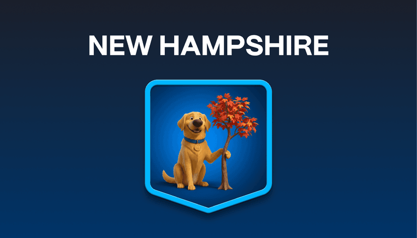 New Hampshire's 'Live Free or Die' Insurance Reality: What No Mandate Actually Costs You