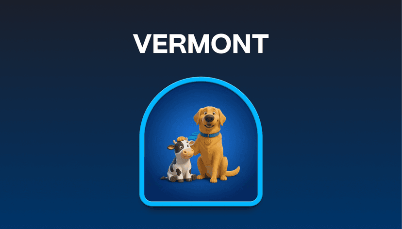 Vermont Auto Insurance: What Six Months of Snowpack Actually Costs You at Renewal