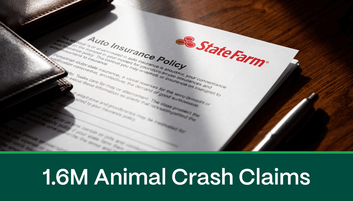 Auto insurance news