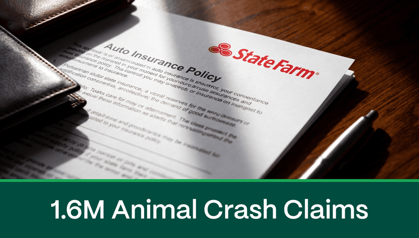1.6 Million Animal Vehicle Collision Claims Filed in a Single Year