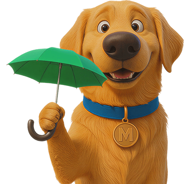 Max Ambrella